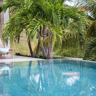 Villa Pool at WV CBA, Grand Cul de Sac, St. Barthelemy