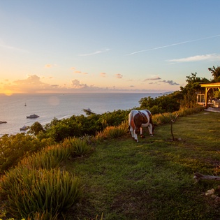 St-Barts-Villa-CPDviw01