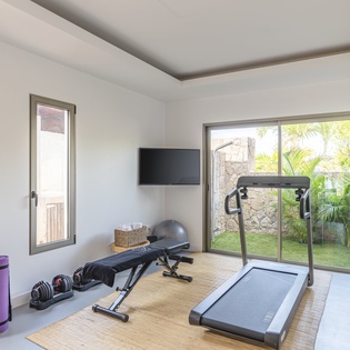 Your private fitness retreat awaits with professional equipment and natural light streaming through garden views.