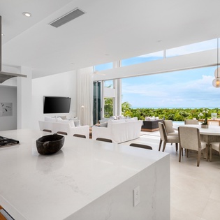 Your sleek open-concept kitchen flows seamlessly into the dining and living areas, where floor-to-ceiling windows frame stunning tropical views.