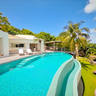 A stunning infinity-edge pool winds along the modern white villa, framed by lush tropical palms and vibrant greenery under a brilliant blue sky.