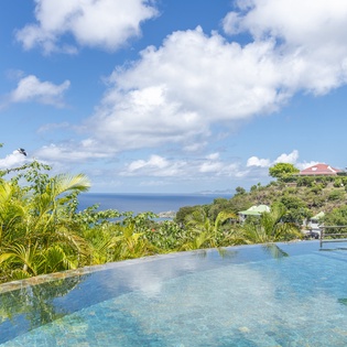 Swim in your private infinity pool as you gaze over lush tropical palms toward the sparkling Caribbean Sea stretching to the horizon.