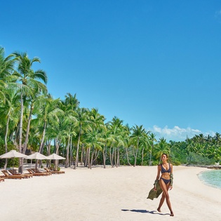 Pristine white sand beach lined with swaying coconut palms and crystal-clear turquoise waters, perfect for tropical relaxation.