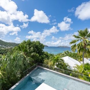 Stunning Caribbean villa with infinity pool overlooking turquoise waters, surrounded by lush tropical hills and swaying palms.