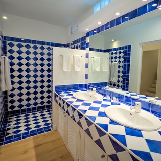 Vibrant blue and white tilework creates a stunning backdrop for your morning refresh, with dual sinks and a spacious walk-in shower offering comfort and style.