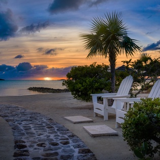 exterior-twin-palms-track13