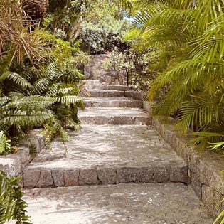 24-image00004
