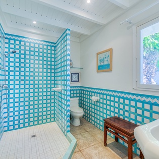 bathroom-1-pamplemousse-track1