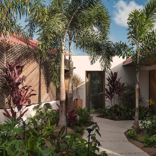 This tropical resort showcases beautiful architecture surrounded by lush palm trees and vibrant landscaping under clear blue skies.