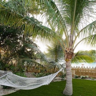 2-Hammock
