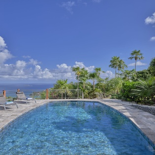 Stunning tropical pool deck with ocean views surrounded by lush palm trees and blue Caribbean skies above.