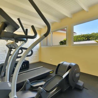 23-St-Barts-Villa-CADgym01