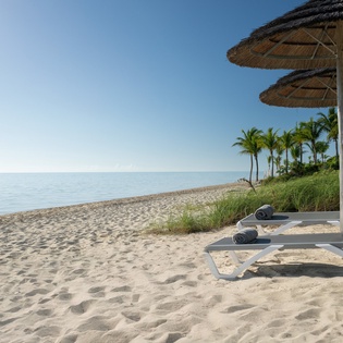Private beach with lounge chairs and umbrellas, surrounded by swaying palm trees and pristine sand.