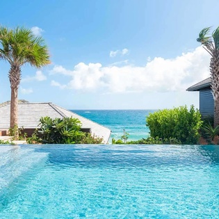 A stunning infinity pool overlooks turquoise Caribbean waters, framed by swaying palm trees and tropical landscaping under a brilliant blue sky.