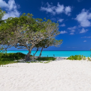beach-view-sea-breeze-tc-track3