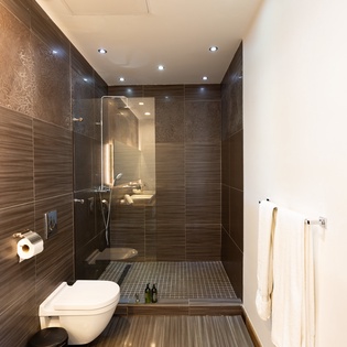 Step into your sleek modern bathroom featuring a spacious walk-in shower with premium fixtures and elegant wood-toned tiles.