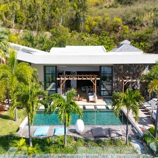 Modern tropical villa with private pool surrounded by lush palms and natural hillside vegetation.