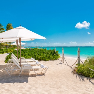 A pristine beach setting framed by lush coastal vegetation and swaying palms with loungers positioned on soft sand steps from crystal-clear turquoise waters.