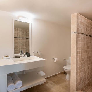 37-LesPalmiersBleus_Bathroom5