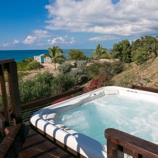 hot-tub-joie-de-vivre-track1