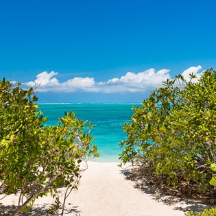 Beach at TC BEB5, Babalua Beach, Turks & Caicos