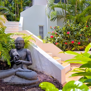 Discover your own peaceful sanctuary among lush tropical gardens. A serene Buddha statue nestled beneath swaying palms and vibrant hibiscus invites you to unwind and find tranquility during your stay.