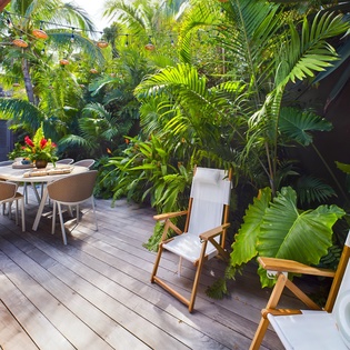 Relax on your private tropical deck surrounded by lush palms, with comfortable seating and dining space for perfect outdoor moments.