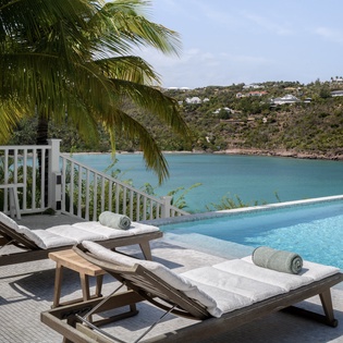 Stunning infinity pool overlooking turquoise bay waters, surrounded by tropical hillside homes and swaying palms.
