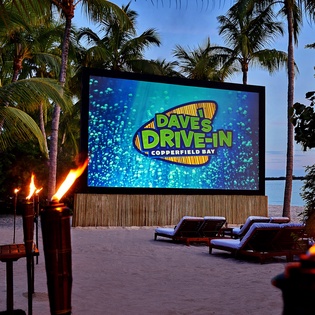 Tropical beachside movie theater with torches and loungers under swaying palms for unforgettable evening entertainment.