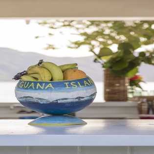 exterior-guana-island-track4