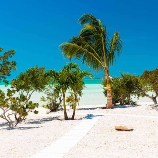 Beach at TC SAR, Ocean Pt/Taylors, Turks & Caicos