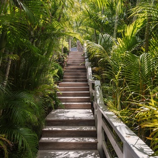 A tranquil wooden stairway winds through lush tropical palms, offering a peaceful pathway through private garden grounds to the property entrance.