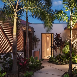 Modern tropical oasis with dramatic lighting and lush landscaping creates an elegant entrance experience.