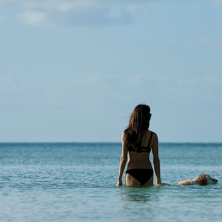 Crystal clear waters and endless horizon create the perfect backdrop for peaceful ocean moments and seaside relaxation.
