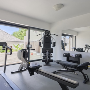 Step into your private fitness sanctuary, where floor-to-ceiling windows frame tropical gardens and fill the bright, climate-controlled space with natural light as you work out.