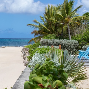 A serene beachfront setting where turquoise waters meet powdery white sand. Lush tropical gardens and vibrant blue lounge chairs mark this coastal property's inviting shoreline.