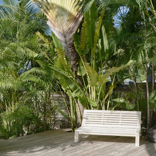 Find your peaceful escape on this tranquil wooden deck, surrounded by swaying palms and tropical greenery that creates your own private oasis.