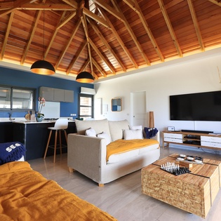 living-room-luffy-track1