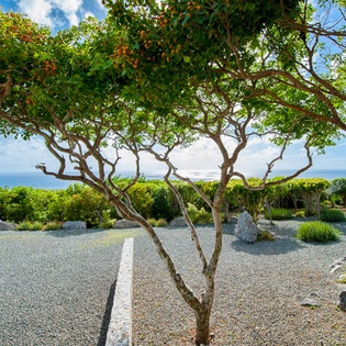 St-Barts-Villa-CNGext03