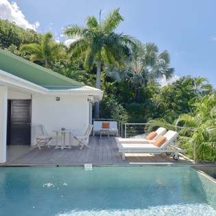 Luxurious tropical villa with crystal-clear pool surrounded by lush palm trees—an exclusive paradise retreat.