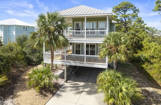 Cape Palms