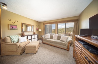 Snowblaze Condos Building E unit 310