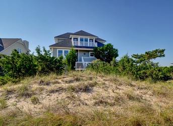 Hidden Shamrock | Photo 1