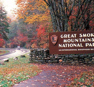 Cozy Bear Lodge