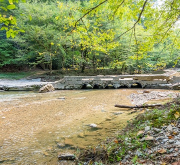 Cabin on the Creek