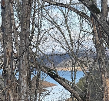 Bearburgh On The Lake