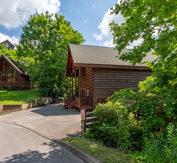 Bear Essentials Lodge