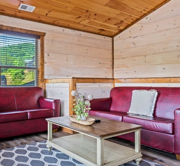 Bear Family Cabin