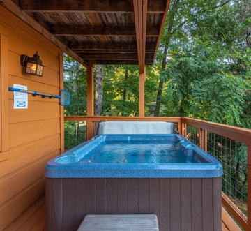 Honey Bear Lodge