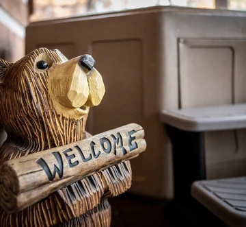 Bearly Livin'